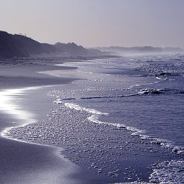 Rui, �����, 43 ����