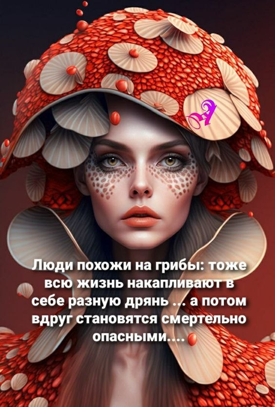 ₪╬═►  ||  ||  ◄═╬₪ - 24  2024  10:42