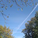 ���� ���������, ����� - ��������� 5 ������� 2025 � ������ ��������������� ������ ���������Ȼ