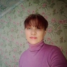 ���� ����, �����-���������, 53 ���� - ��������� 10 ����� 2024