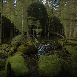 Tesla, �����, 22 ����