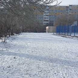 ���, ������, 41 ���