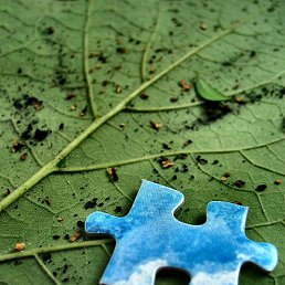 Alexey, ������, 42 ����