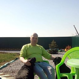 ������, ������, 42 ����