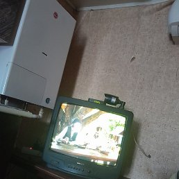 ���������, ���������, 50 ���