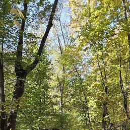 ���� ����, ������� - ��������� 4 ������� 2025