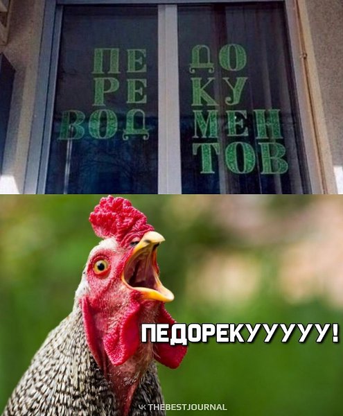 Думаю, что только кот скажет наверняка, что же тут написано