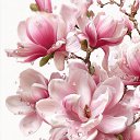 ���� ������, ������ - ��������� 9 ���� 2026 � ������ ���� ����������