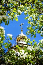 — Всех обидчиков простила? — задал в конце исповеди батюшка свой обычный вопрос. И я с готовностью ...