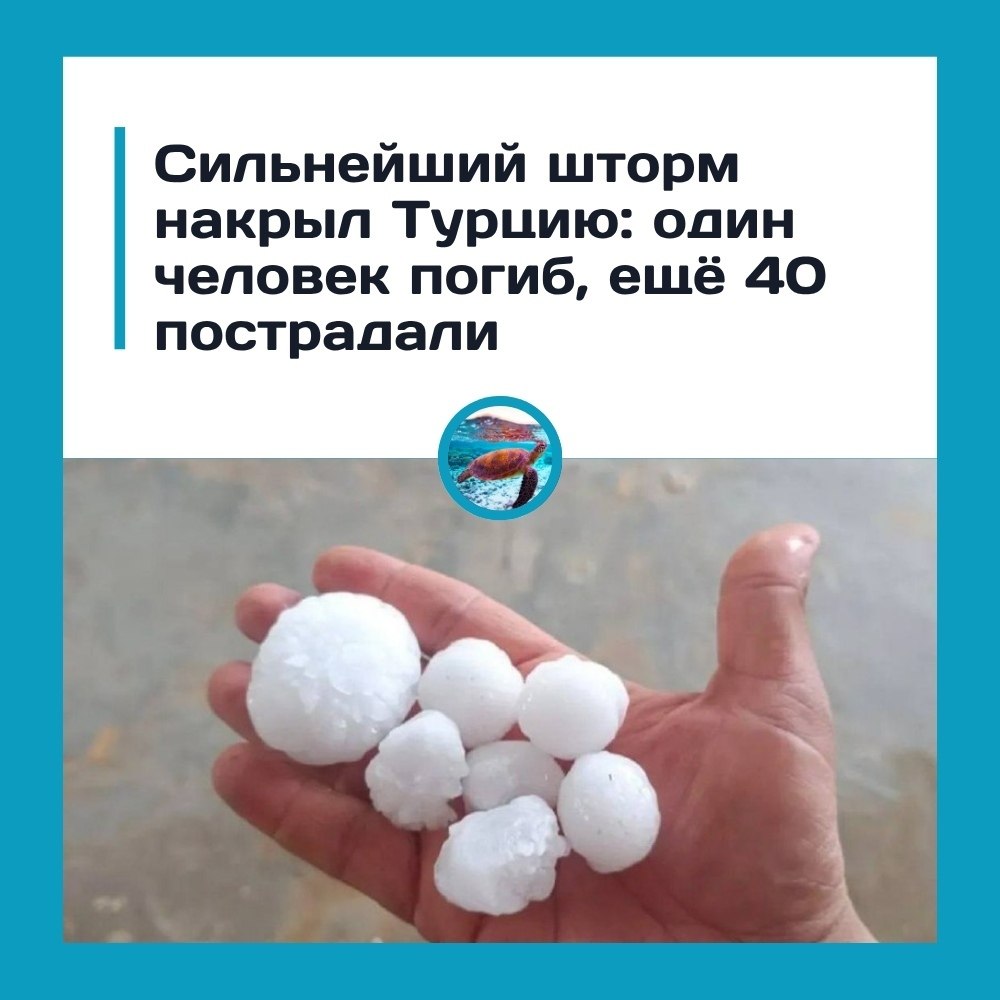 ��p��� �a�p��a �c��ep���e��a�. ��op� �p���� �opo�a.o���� ��op� o�p����c� �a ��p���. o �oc�e���� ... - 2