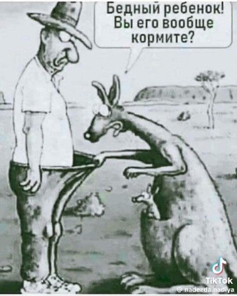  - 11  2024  22:00