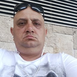 ������, 41 ���, ���������