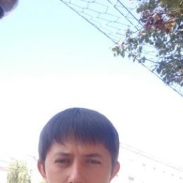 ���������, 41 ���, ������-��-����