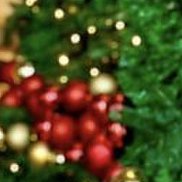 ������, 41 ���, ����������