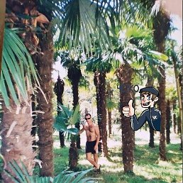 ������, ����, 41 ���