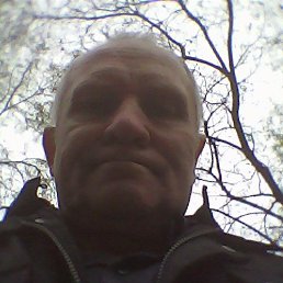 ������, ������, 65 ���