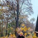 ���� �����, ��������� - ��������� 9 ������� 2026 � ������ ���� ����������