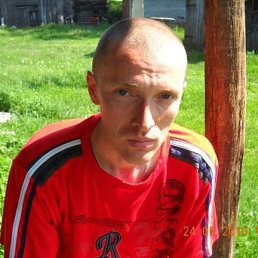Aleksander, ����