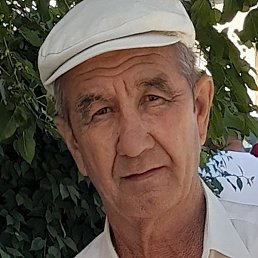 ����, �������, 65 ���