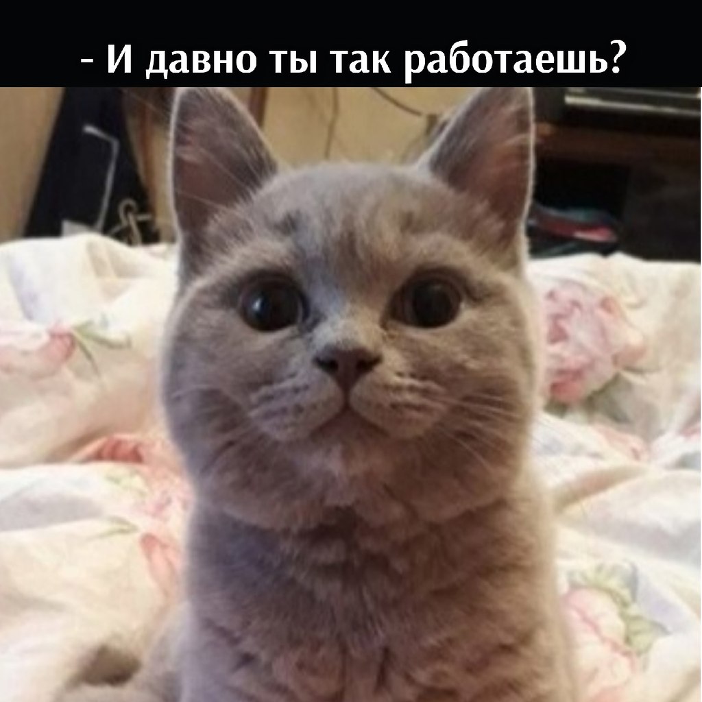 ��� ���� � ����� �� �� - 21 ����� 2026 � 14:30 - 3