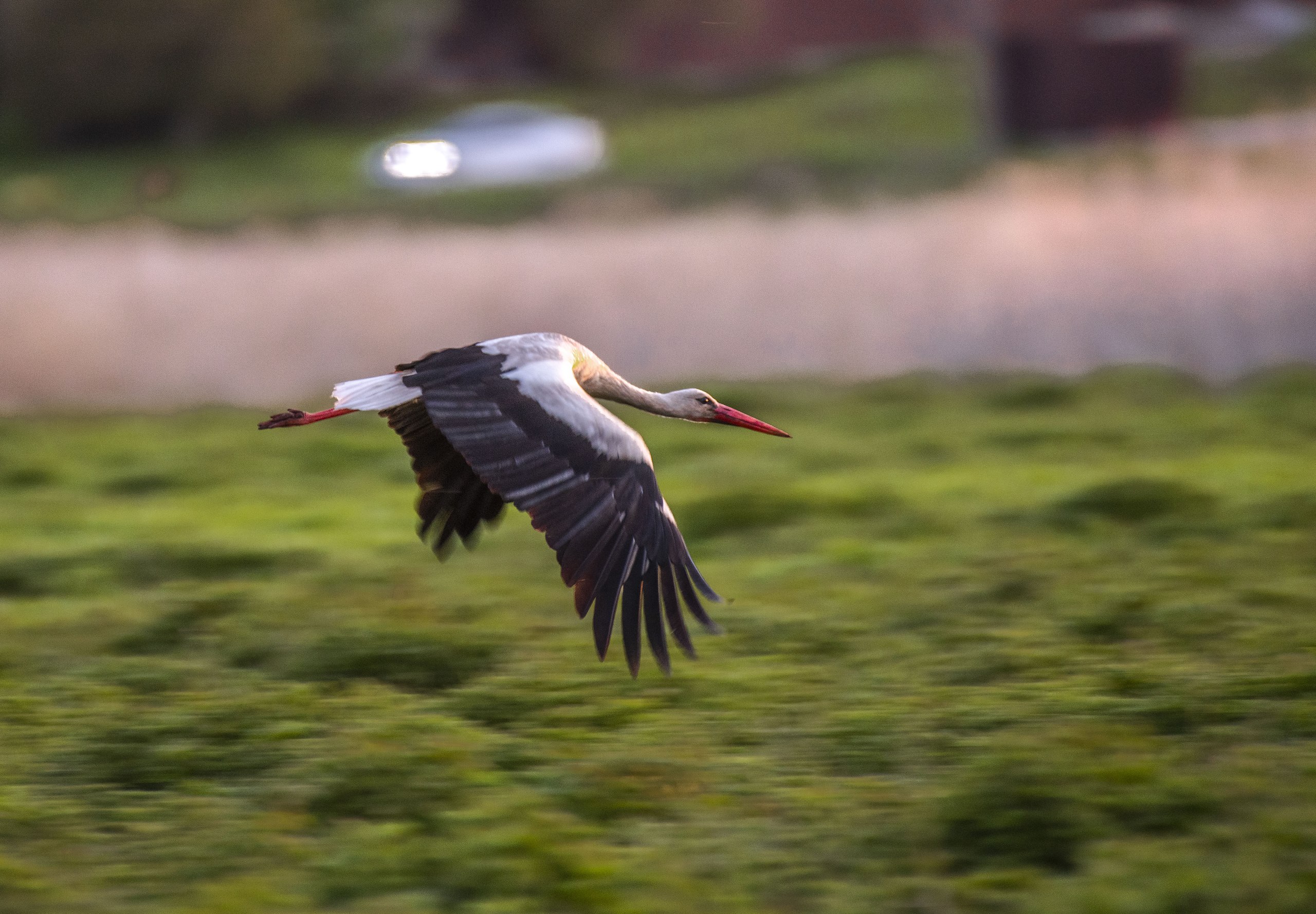  - 18  2025  23:41 - 8