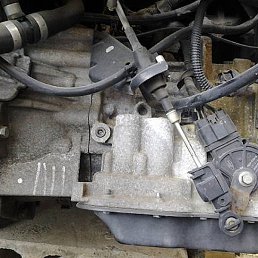 ����, �������, 55 ���