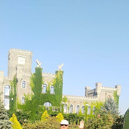 �������� ��������, ��������, 58 ���