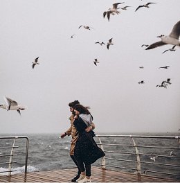 �����������