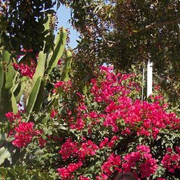 �������, ������, 47 ���