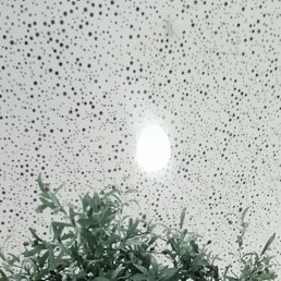 ���� �����, ������, 42 ���� - ��������� 6 ������ 2025