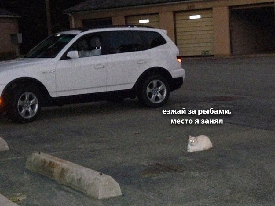    - 11  2025  04:35