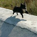 ���� ������, ������, 29 ��� - ��������� 18 ������ 2024