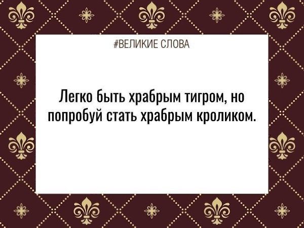 ������� ����� | ������, ����� � �������� - 2 ������� 2025 � 23:39