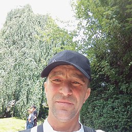 , 43, 