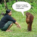 ���� �����, ������������, 54 ���� - ��������� 12 ��� 2025 � ������ ���� ����������