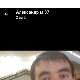 ���������, 39 ���, ���������