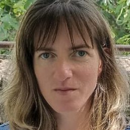 ���, ������, 41 ���