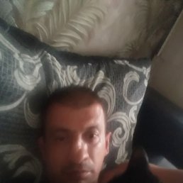 , 43, 