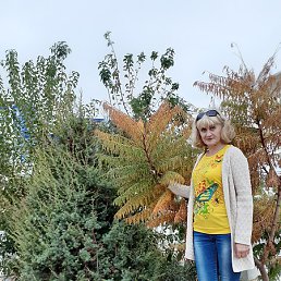 Marina, �����������, 61 ���