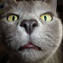 ���� �������, ��������, 27 ��� - ��������� 12 ������ 2024 � ������ ���� ����������