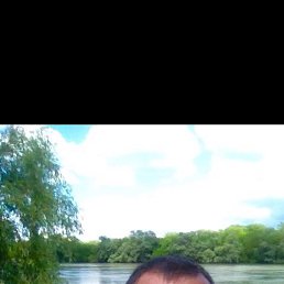 , 46, 