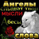 ���� ������, ������, 39 ��� - ��������� 20 ����� 2026