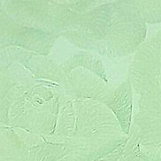 �����, 38 ���, ������