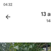 ������, 49 ���, ����