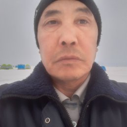 , 56, 