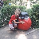 ���� ˸��, �������, 66 ��� - ��������� 11 ��� 2025 � ������ ���� ����������