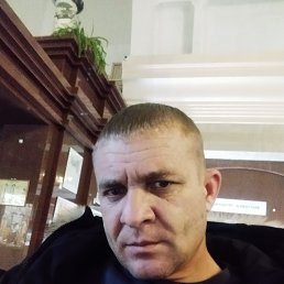 , 40, 