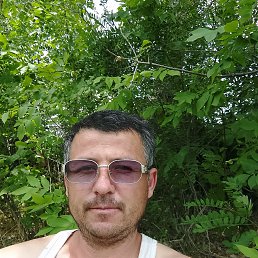 , 33, 