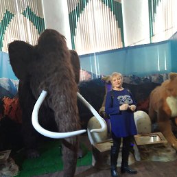 ������, ���������, 71 ���