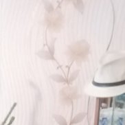 �������, 41 ���, ���